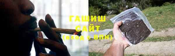 ГАЛЛЮЦИНОГЕННЫЕ ГРИБЫ Тайга