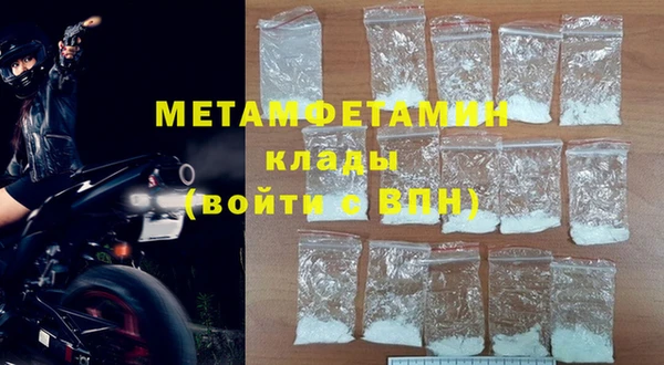 ГАЛЛЮЦИНОГЕННЫЕ ГРИБЫ Тайга
