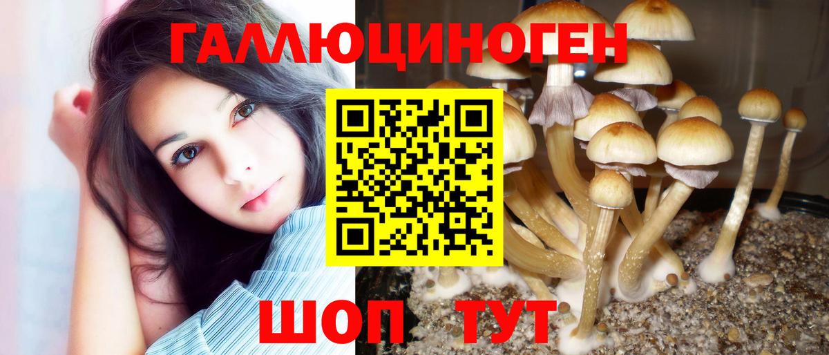Абакан  что такое наркотик  Вход с VPN  Псилоцибиновые грибы GOLDEN TEACHER 