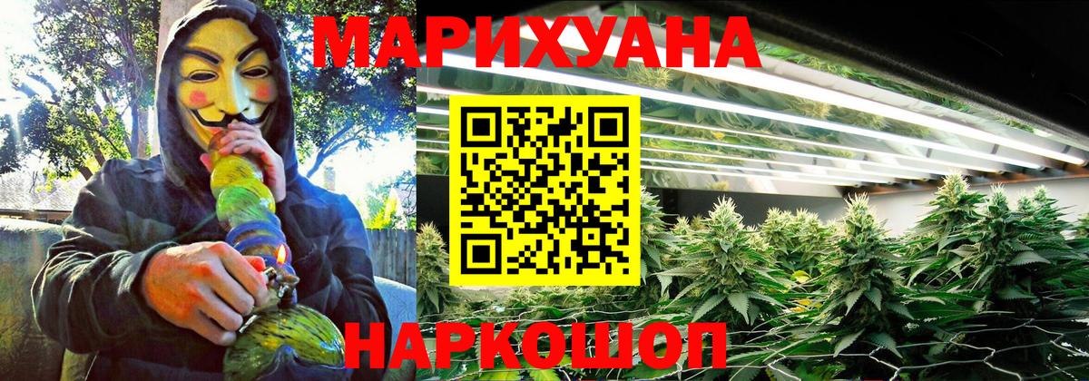 Абакан  Бошки Шишки сатива  Марихуана индика  Канабис Bruce Banner  Вход с VPN  Конопля конопля 